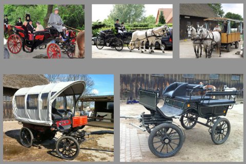 Kutschen/Gespanne Kutschen/Gespanne