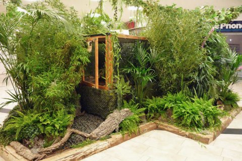 Modul mit Holzvitrine und Pflanzendekoration