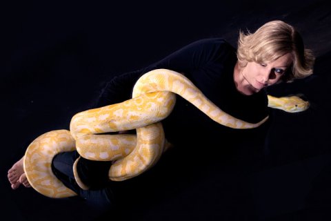 Python / Albino Python / Albino