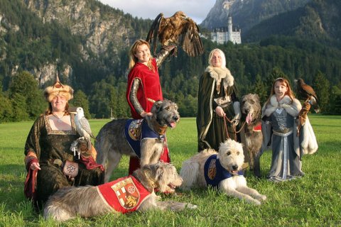 Irische Wolfshunde Irische Wolfshunde