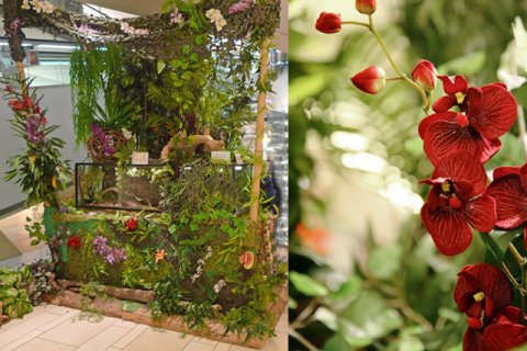 Dschungel mit üppiger Blütendekoration