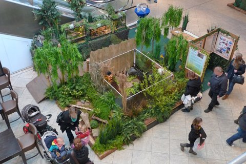 Heimat Dekoration: Teichlandschaft mit Weiden, Farnen, Gräsern