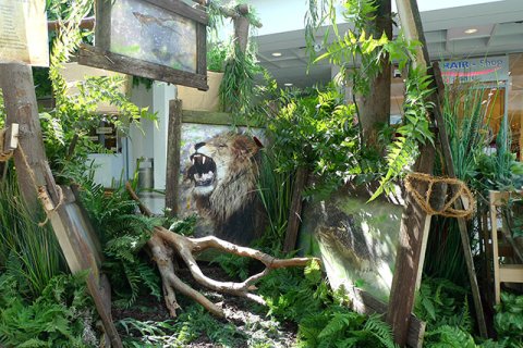 Ausstellung Tier & Kunst in einem Einkaufscenter