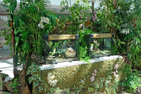 Vitrinen auf Bühnenelementen in Ladenpassage