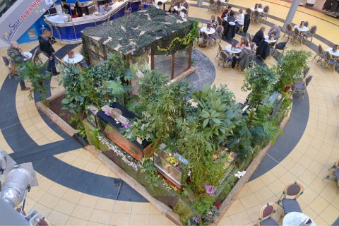 Tropenausstellung in einem Einkaufszentrum