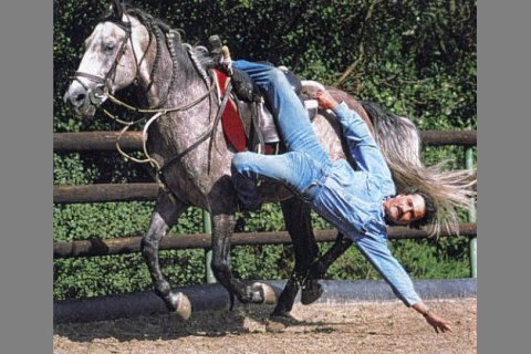 Stuntreiter Stuntreiter