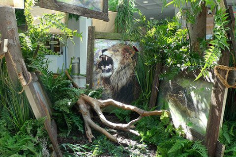 Aus der Ursuppe zum Tier